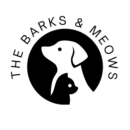 Team Page: The Barks & Meows